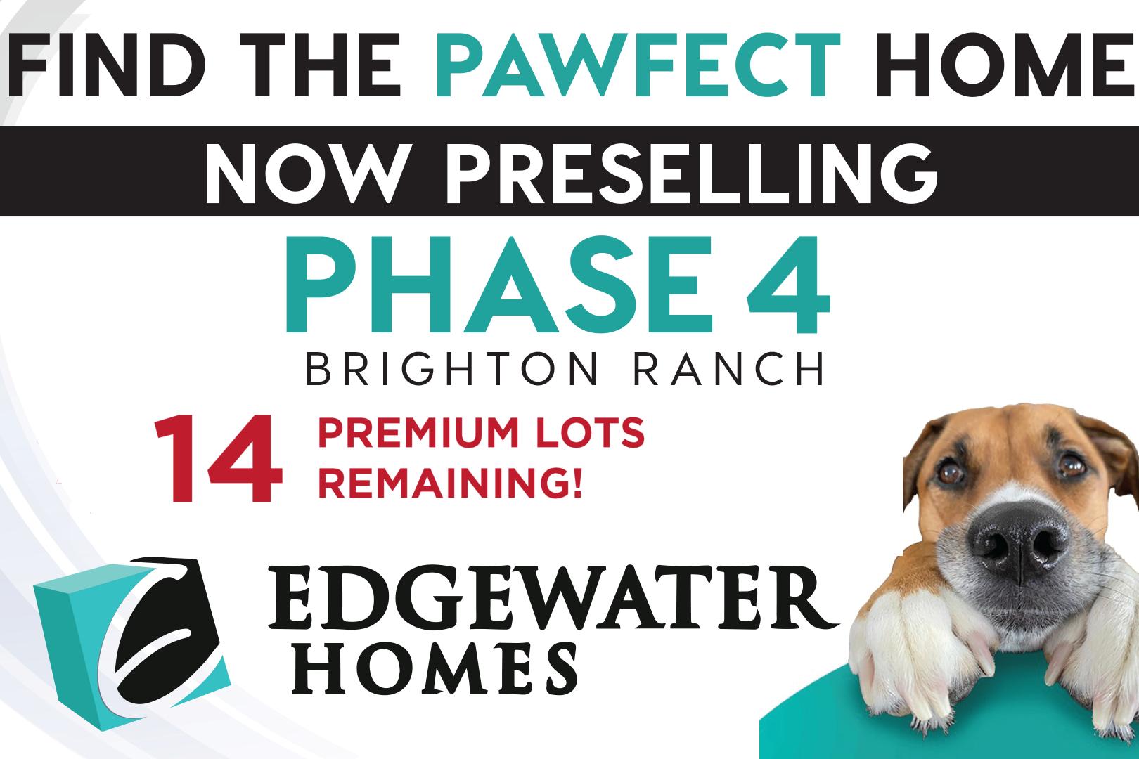 Edgewater Development