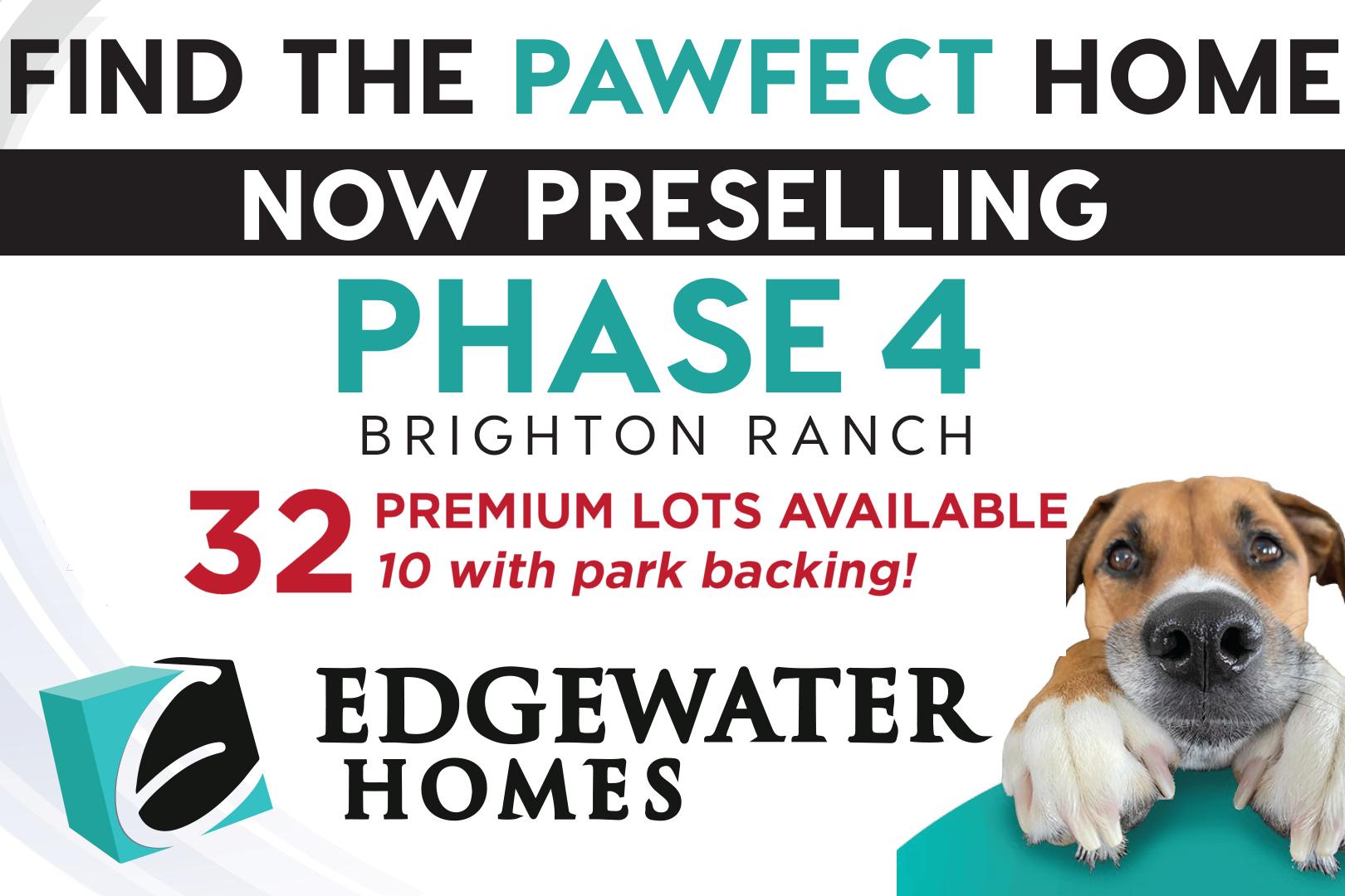 Edgewater Development